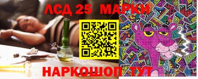 мдпв Дмитров