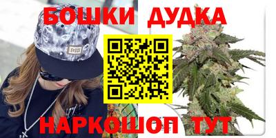 мдпв Дмитров